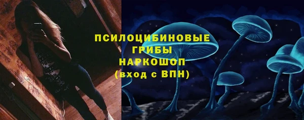 СК Михайловск