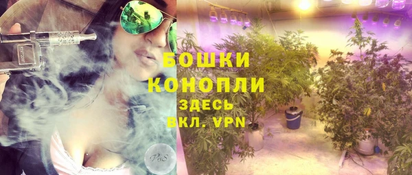 СК Михайловск